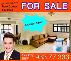 Blk 48 Dorset Road (Kallang/Whampoa), HDB 5 Rooms #183629992